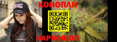 прущие грибы Лесосибирск