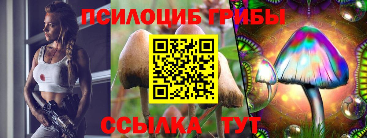Псилоцибиновые грибы Magic Shrooms Ишимбай